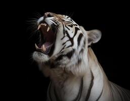 dettagliato ritratto di un' ruggente bianca tigre viso, isolato su nero sfondo. generativo ai foto