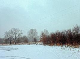 inverno paesaggio con alberi durante nevicata foto