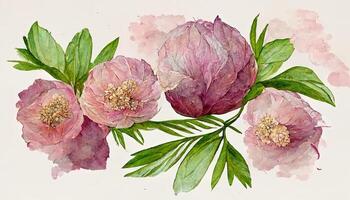 acquerello fiori clipart, rosa peonia, rosa fiore, ortensia e eucalipto le foglie. generativo ai foto