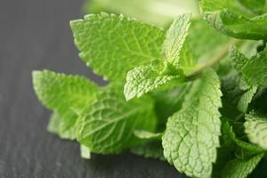 fascio di foglie di menta verde su sfondo grigio foto