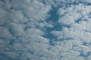 cielo azzurro e nuvole bianche foto