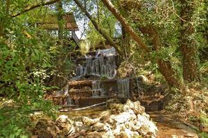 estate paesaggio con un' piccolo cascata e verde alberi foto