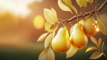 frutta azienda agricola con pere. ramo con naturale pere su sfocato sfondo di pere frutteto nel d'oro ora. concetto organico, Locale, stagione frutta e raccolta. generativo ai foto