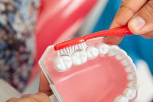 dentista utilizzando un' dentale modello per mostrare il corretta modo per spazzola il tuo denti foto