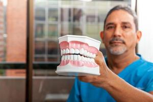 maschio di mezza età dentista a il suo ufficio mostrando un' dentale modello foto