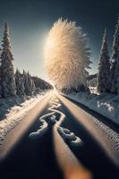 neve coperto strada nel il mezzo di un' foresta foto