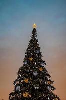 colorato Natale albero scintillante contro il sfondo di il sera pastello cielo foto