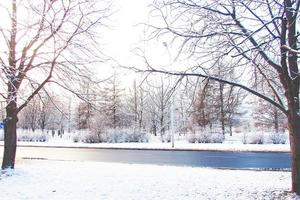 inverno paesaggio con fresco neve e alberi foto