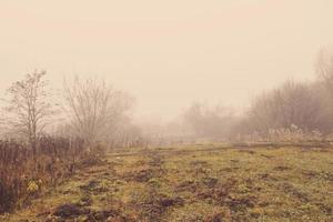 triste vuoto nebbioso autunno mattina con strada e alberi foto