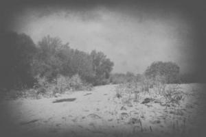 triste, vuoto, solitario, mattina, con il strada e neve a il inizio di inverno foto