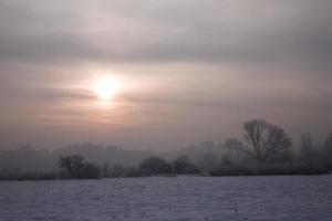 sereno pastello inverno mattina con bianca neve e nero alberi e il sole penetrante attraverso il nuvole nel il cielo foto