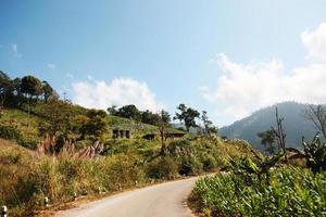 giallo cartello etichetta avvertimento di curva strada su il montagna nel Tailandia foto