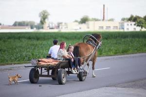 un' cavallo con un' carrello è trasporto persone lungo un asfalto strada. foto