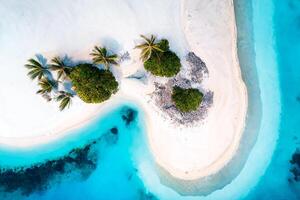 tropicale bianca sabbia su il spiaggia e turchese mare acqua. Visualizza a partire dal il superiore. un' tropicale paradisiaco sfondo. generativo ai foto