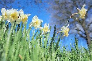 macchiato bicchiere, vitrage Immagine di giunchiglie nel primavera. di stagione, decorativo e floreale concetto foto