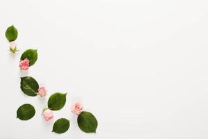 cornice realizzata con piccoli bellissimi boccioli di rosa su sfondo bianco