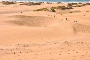 sabbia dune di il mare foto