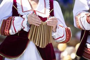 un' musicista nel un ricamato camicia giochi un' cricchetto su un etnico musicale strumento. foto