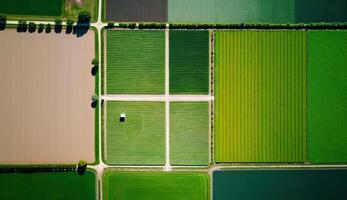 generativo ai, azienda agricola paesaggio, agricolo campi, bellissimo campagna, nazione strada. natura illustrazione, fotorealistico superiore Visualizza drone, orizzontale striscione. foto