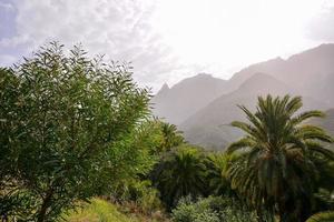 panoramico rurale paesaggio foto