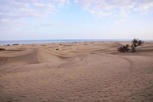 sabbia dune sfondo foto