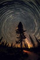 albero seduta nel il mezzo di un' foresta sotto un' stella pieno cielo. generativo ai. foto