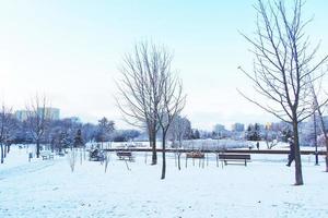 inverno paesaggio con fresco neve e alberi foto