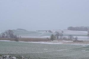 neve coperto eifel paesaggio foto