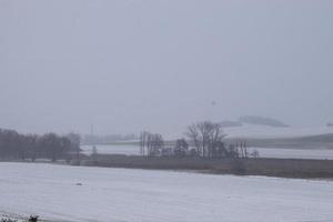neve coperto agricolo i campi in giro un' natura Riserva foto