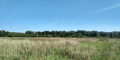 bellissimo paesaggio. natura immagine sfondo. primavera natura. blu chiaro cielo. luce del sole e soffice nuvole. campo e prato. foto