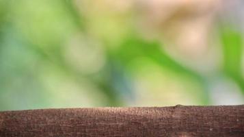 sfocato verde giardino sfondo. può essere Usato Prodotto Schermo. foto