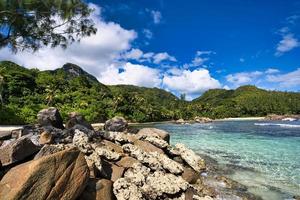 porta contento spiaggia, spiaggia, roccia massi e montagna, mahe Seychelles foto