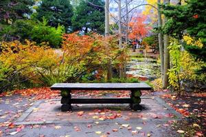 vecchio di legno panchina nel il autunno parco. foto