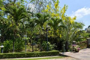 fioritura fiori e un' ponte giardino parco nel bangkok, Tailandia foto