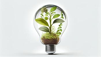leggero lampadina con germoglio dentro isolato nel bianca sfondo piccolo pianta in crescita dentro un' lampadina generativo ai foto