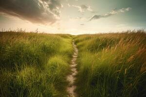 il paesaggio di erba i campi e blu cielo strada principale via in il distanza. generativo ai. foto