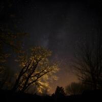 il Visualizza di il cielo a notte è pieno con stelle .generativo ai foto