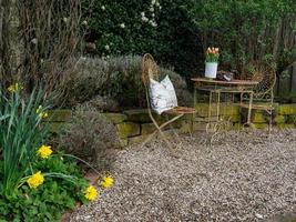 primavera tempo nel il giardino foto