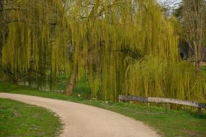 primavera tempo nel westfalia foto