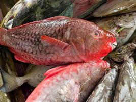 pappagallo pesce a il cittadina mercato nel vittoria, mahe Seychelles foto