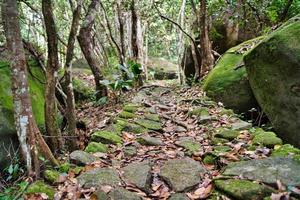 trois libero natura sentiero, bellissimo roccioso naturale sentiero su il sentiero, mahe, Seychelles foto