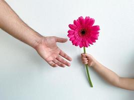 piccolo bambino dà il suo padre fiore su bianca sfondo. padri giorno. foto