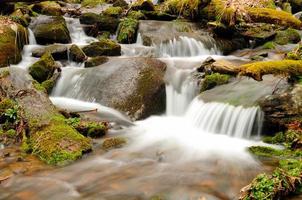 primavera acqua su un' montagna torrente foto