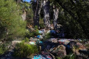 parco dei graffiti a san diego, california foto