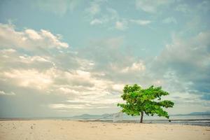 alba della spiaggia di Lakawon a Cadice, Negros Occidental foto