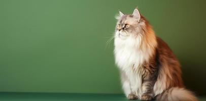 Marrone persiano gatto ritratto luminosa verde pendenza sfondo. con copia spazio. creare ai. foto