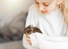 giovane ragazza giocando con piccolo animale degu scoiattolo. foto