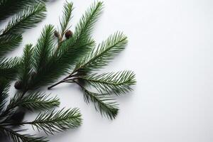 Natale albero rami su bianca sfondo. Natale vigilia. ai generato foto