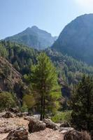 foresta e montagna paesaggio, sentieri di i viaggiatori e montagne nel il distanza. di legno ponti e flussi foto