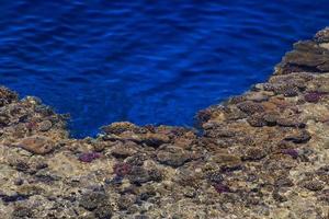 corallo scogliera a costa di rosso mare, Egitto foto